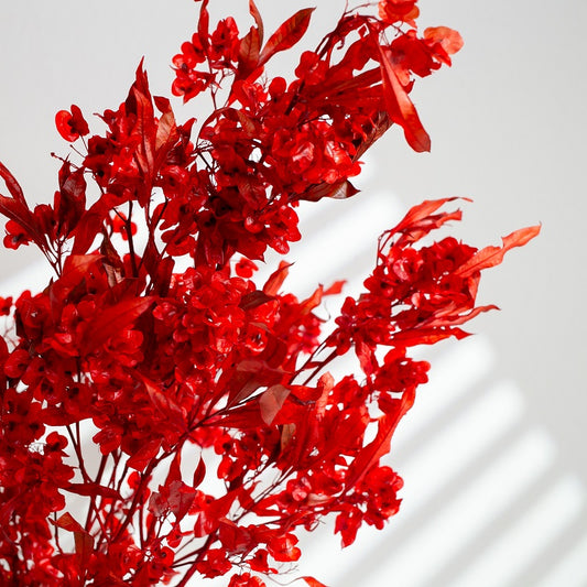 Preserved butterfly flower