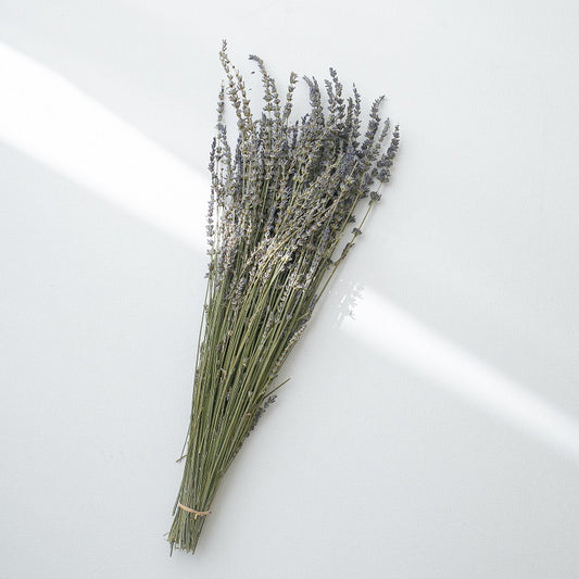 Dried lavender