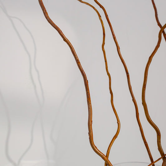 Glod rattan natural bunch