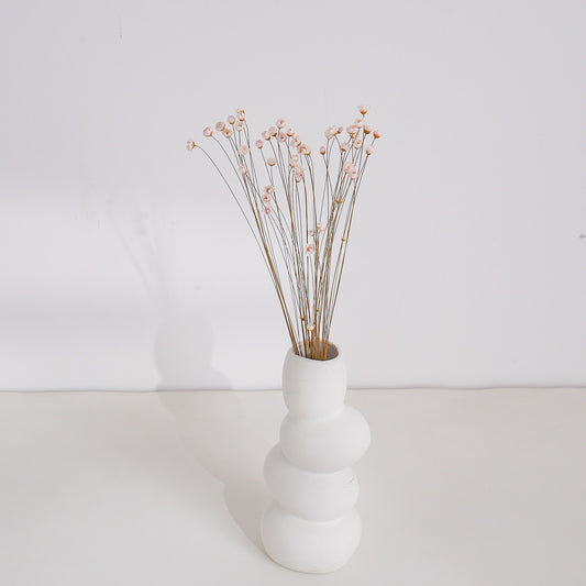 Light Pink Dried Glixia Flower
