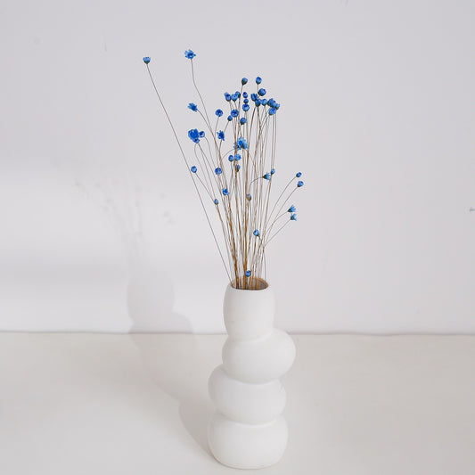Blue Dried Glixia Flower