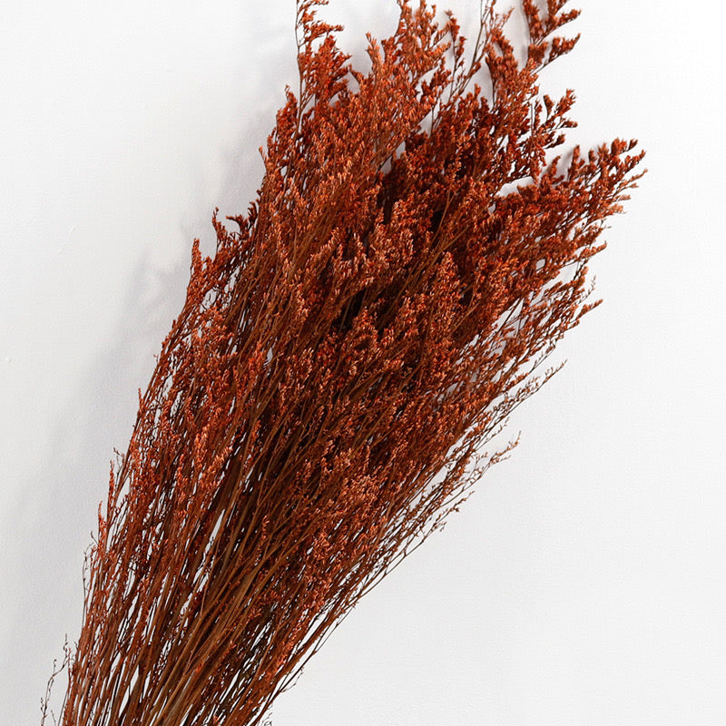 autumn love grass