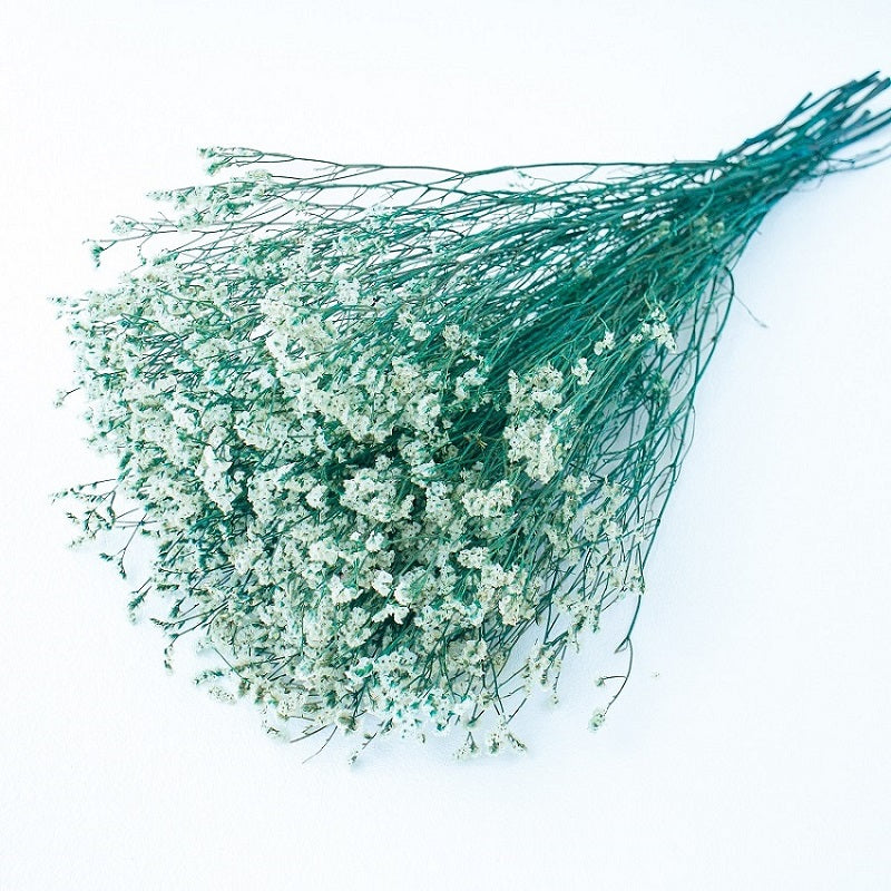 blue stem white flower heads limonium