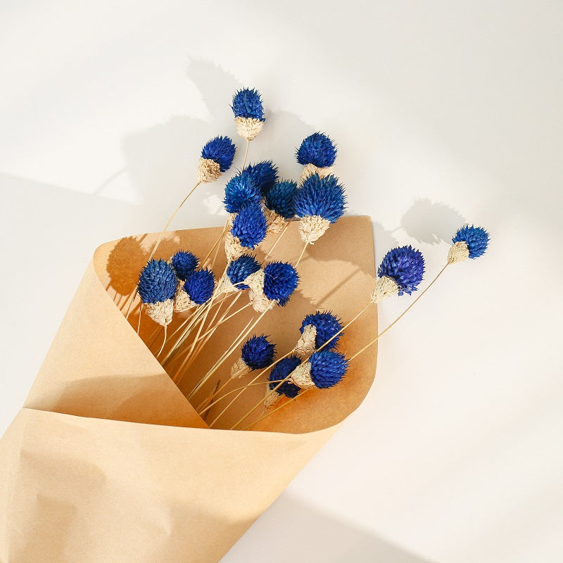 Dimond blue Gomphrena