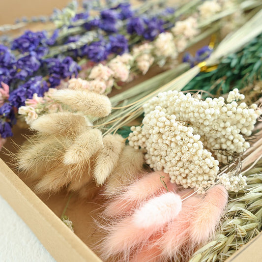 dried Delphinium crafting box