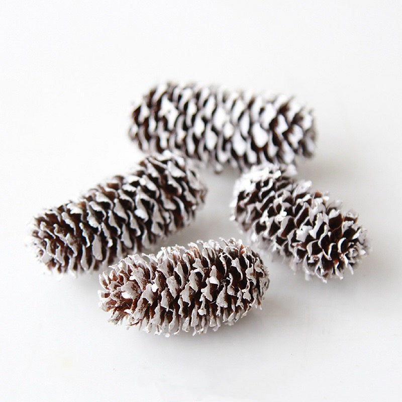 Dried Mini Long Pine Cones