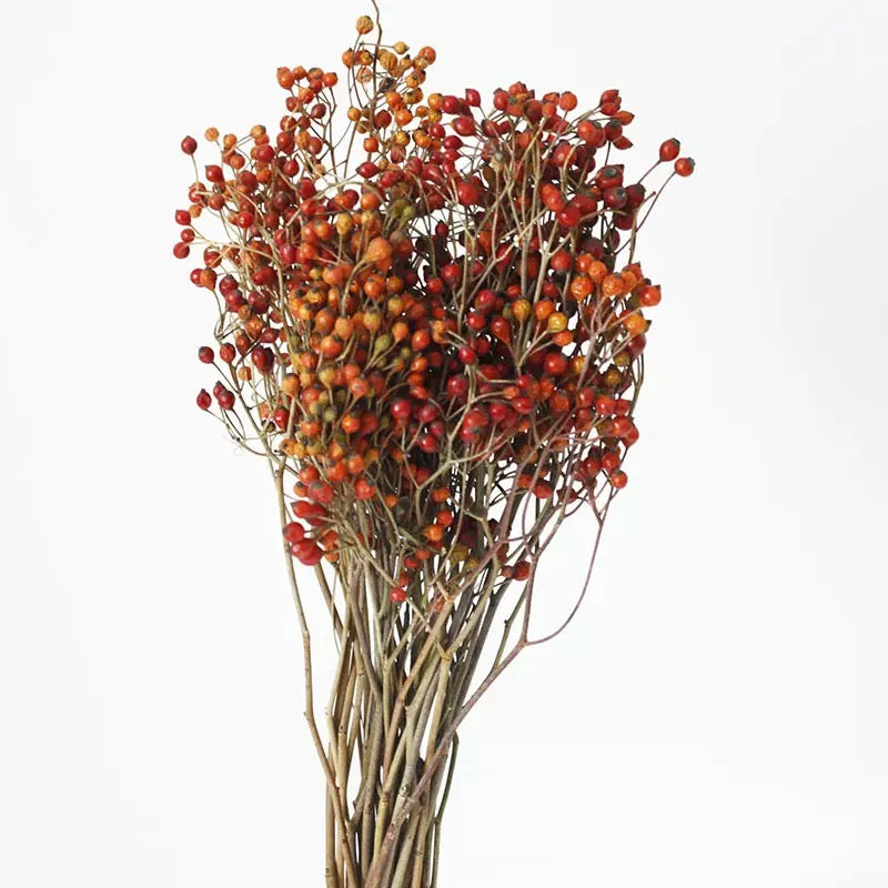 Dried Rosehip