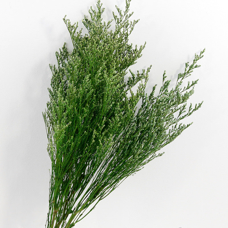 emerald love grass