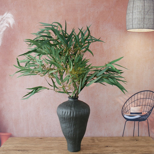 Green Eucalyptus Nicolii