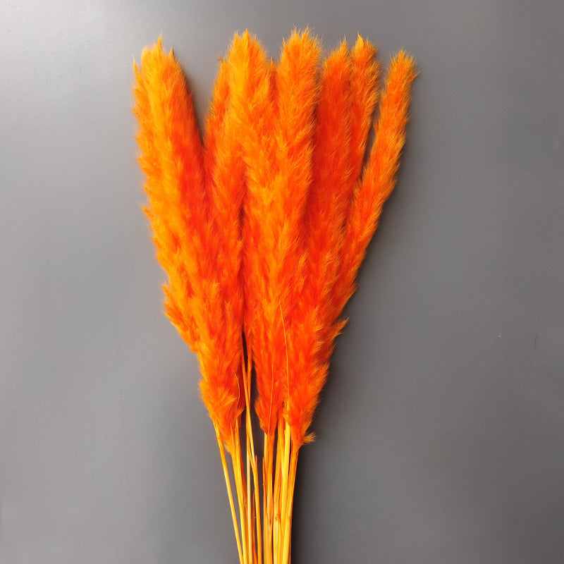 hermes orange pampas grass