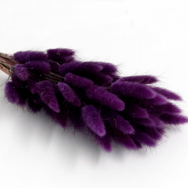 violet dried bunny tail