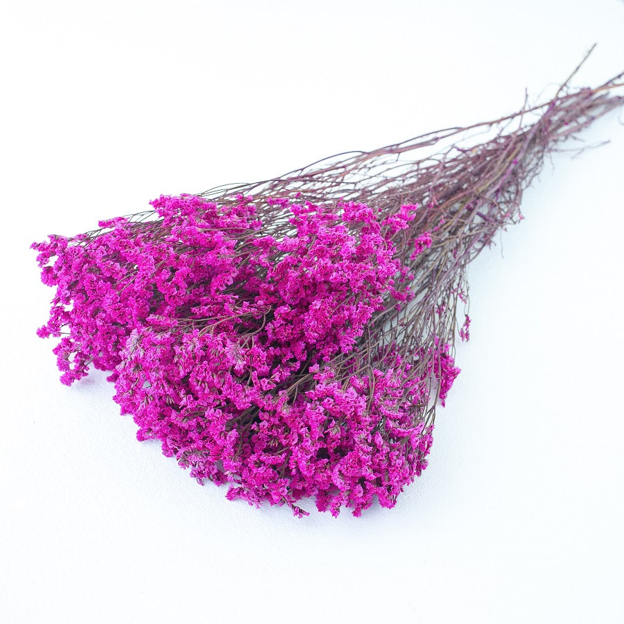 magenta limonium