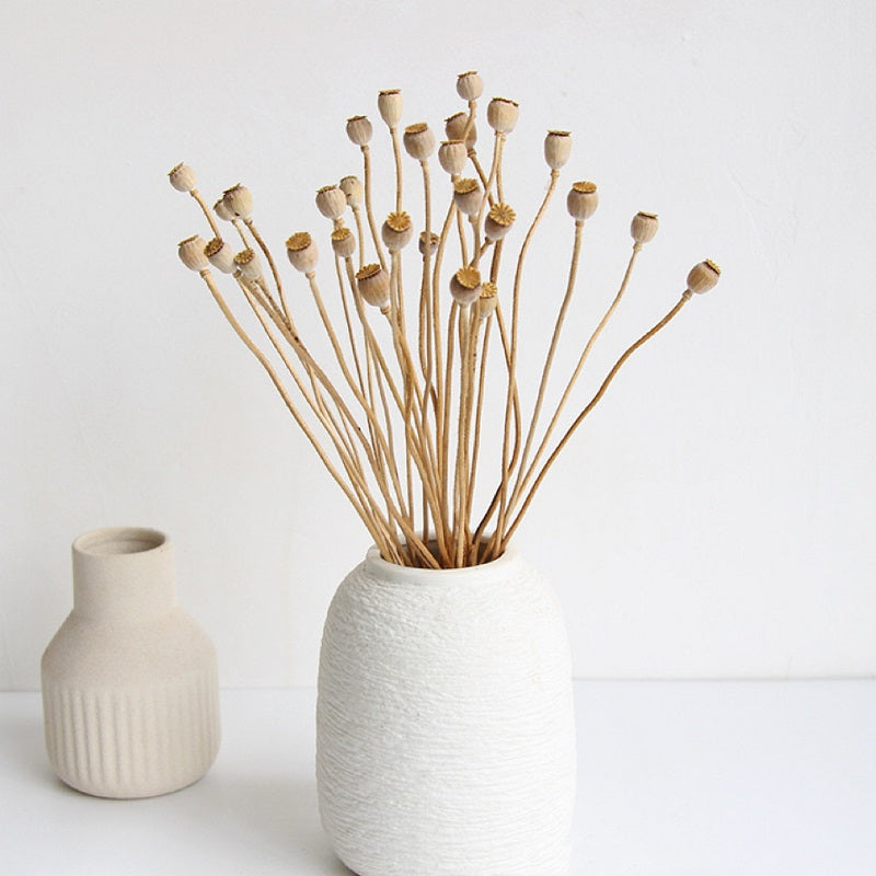 Mini Papaver (Poppy Heads), Dried, Natural
