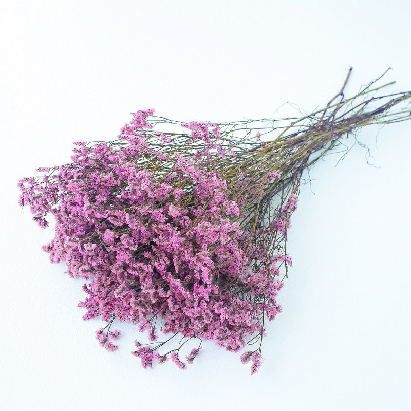 natural pink limonium