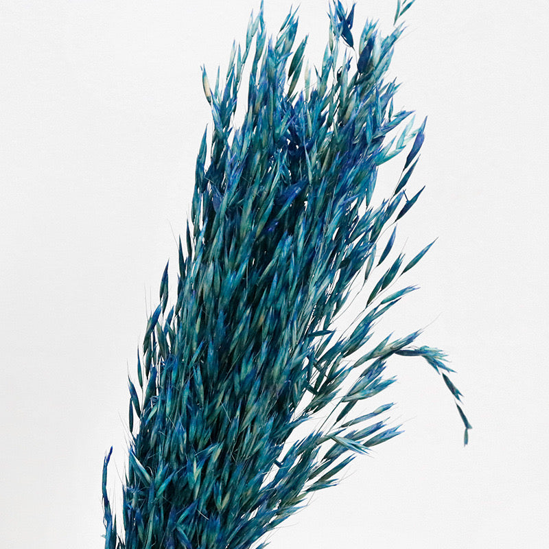 blue Dried Oats