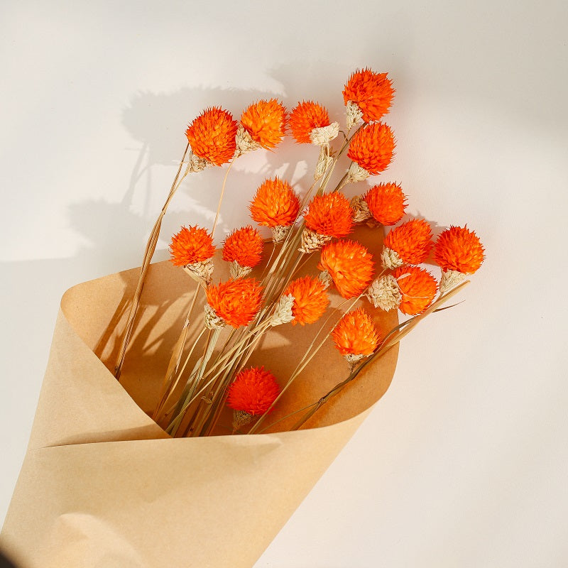 Orange Dried Gomphrena