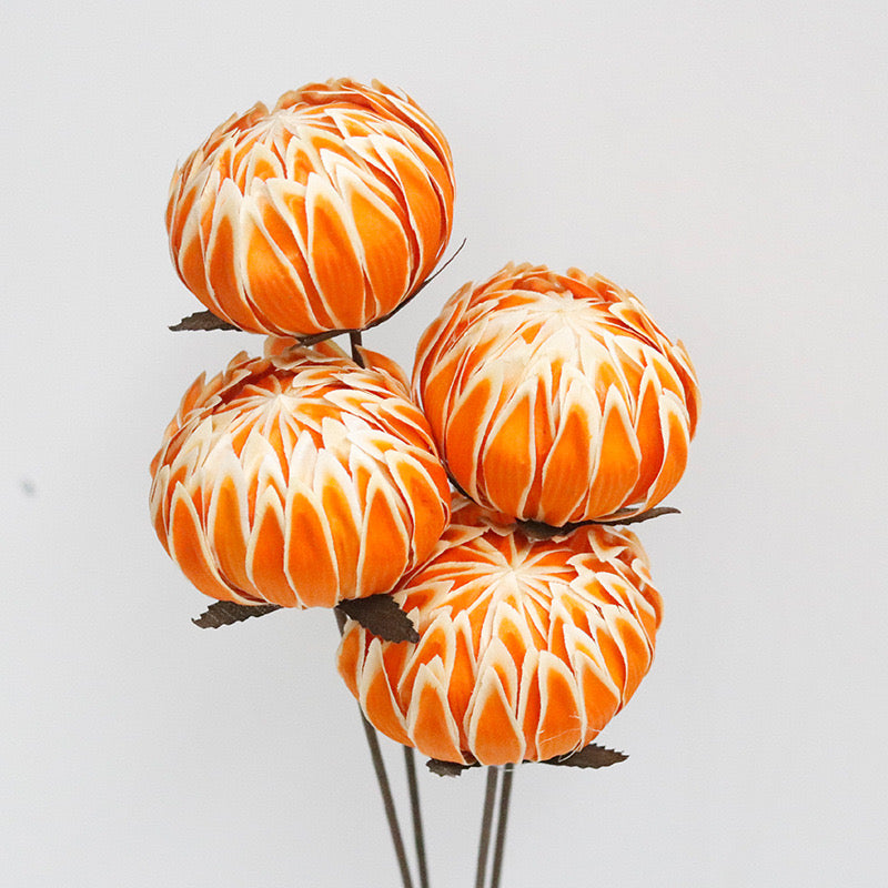orange peony