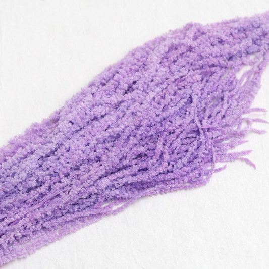purple Amaranthus 2