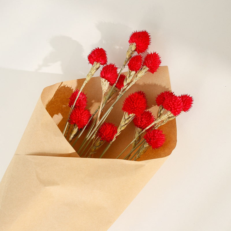 red dried Gomphrena