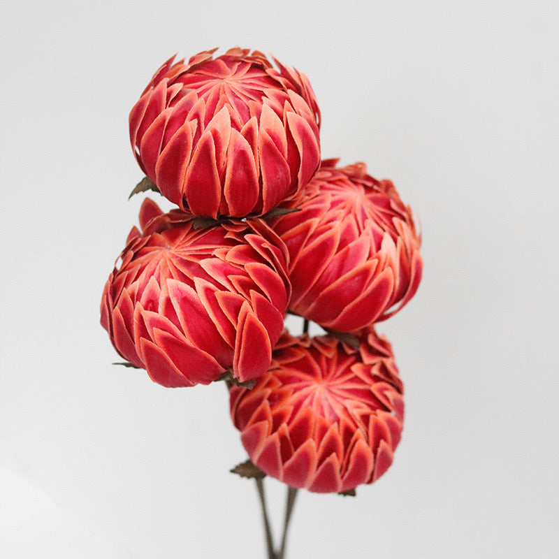 red peony