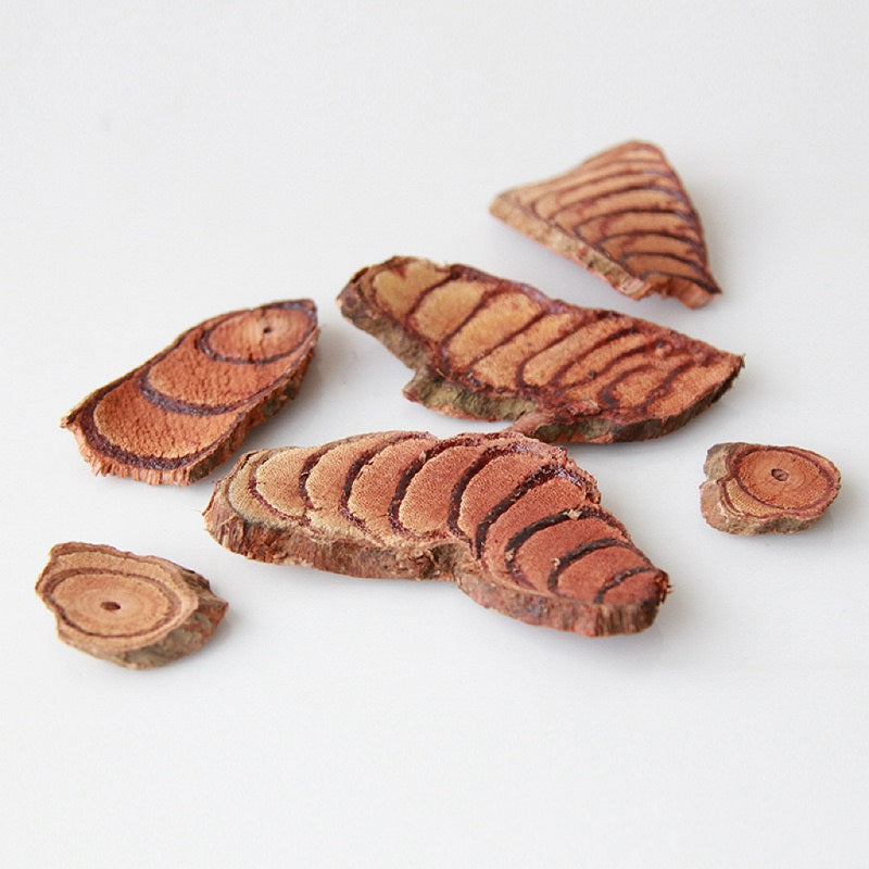 Drried Fruit Suberect Spatholobus
