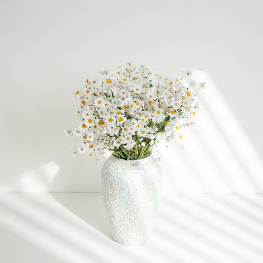 Something beautifully everlasting:dried daisies for your wedding day