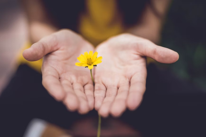 Birth Flowers for Each Month for Your Loved Ones