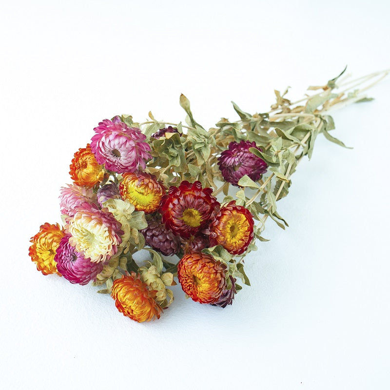 How dried and preserved flowers make great gifts