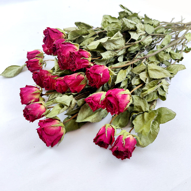 5 Types of Dried Flowers That Are Helping Win Interior Designers New Clients in the Hospitality Industry