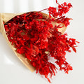 Preserved butterfly flower