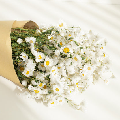 Real Dry White Flowers With Stems