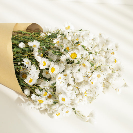 Real Dry White Flowers With Stems