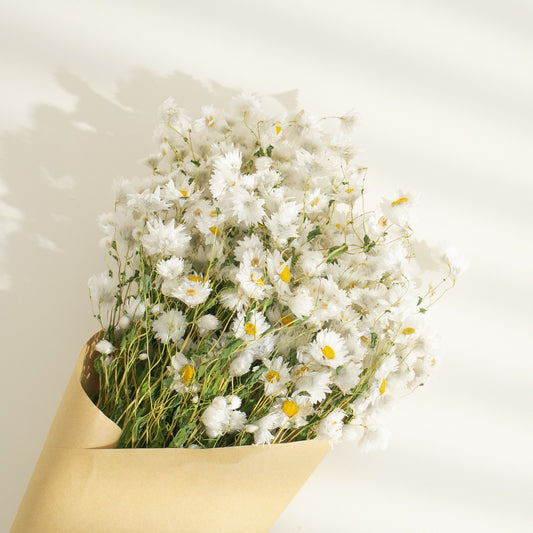 Real Dry White Flowers With Stems