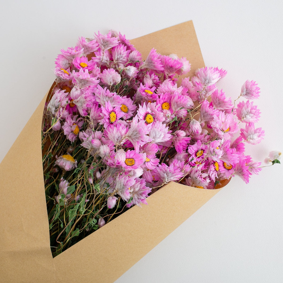 Dried Daisy Flowers Bouquet, Real Dry Pink Flowers With Stems