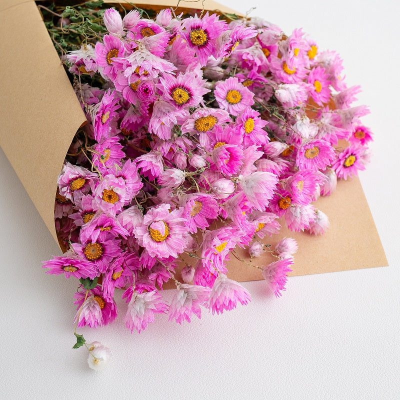 Dried Daisy Flowers Bouquet, Real Dry Pink Flowers With Stems