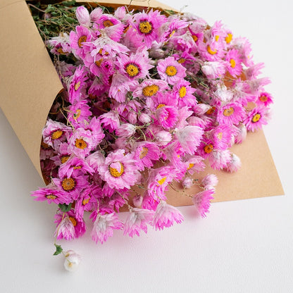 Dried Daisy Flowers Bouquet, Real Dry Pink Flowers With Stems