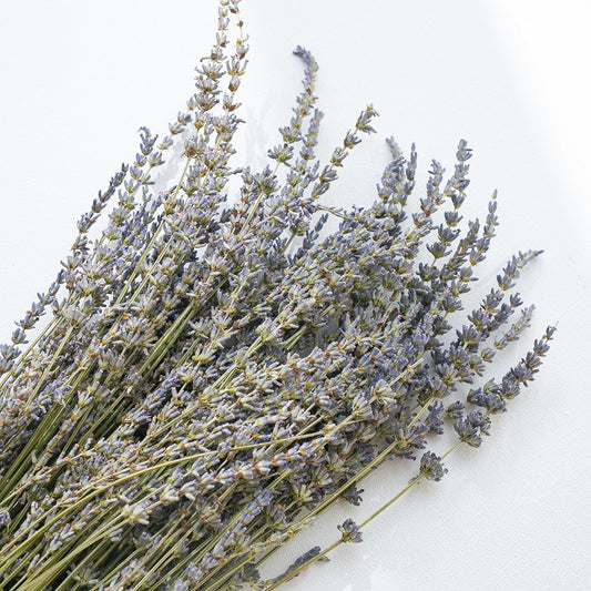Dried lavender