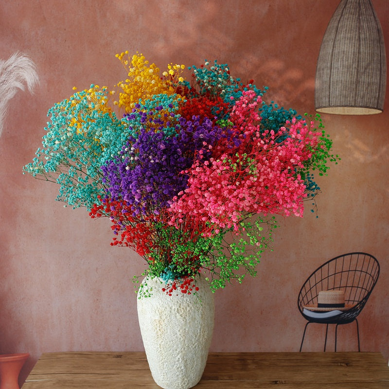 Colourful Baby's Breath