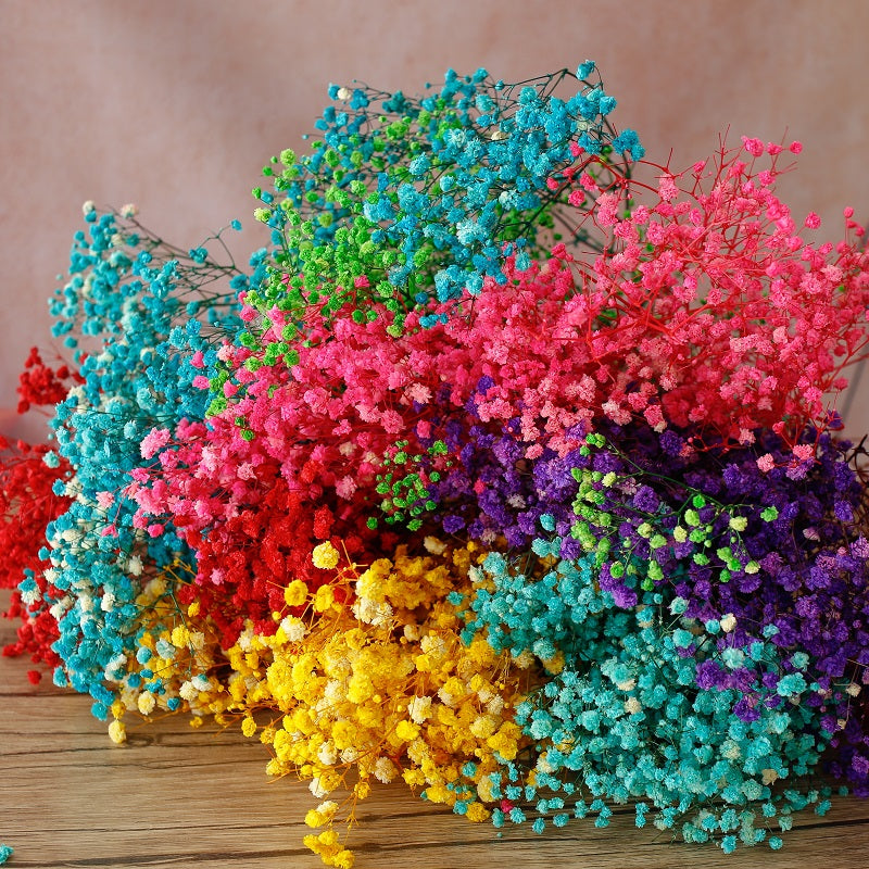 Colourful Baby's Breath