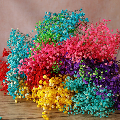 Colourful Baby's Breath