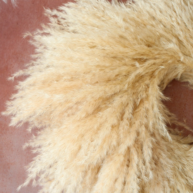 Pampas grass wreath