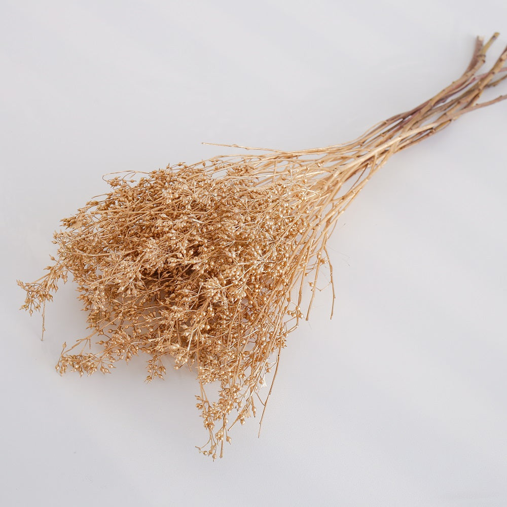 gloden colour Dried Eucalyptus Berries