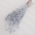 silver colour Dried Eucalyptus Berries