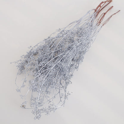 silver colour Dried Eucalyptus Berries