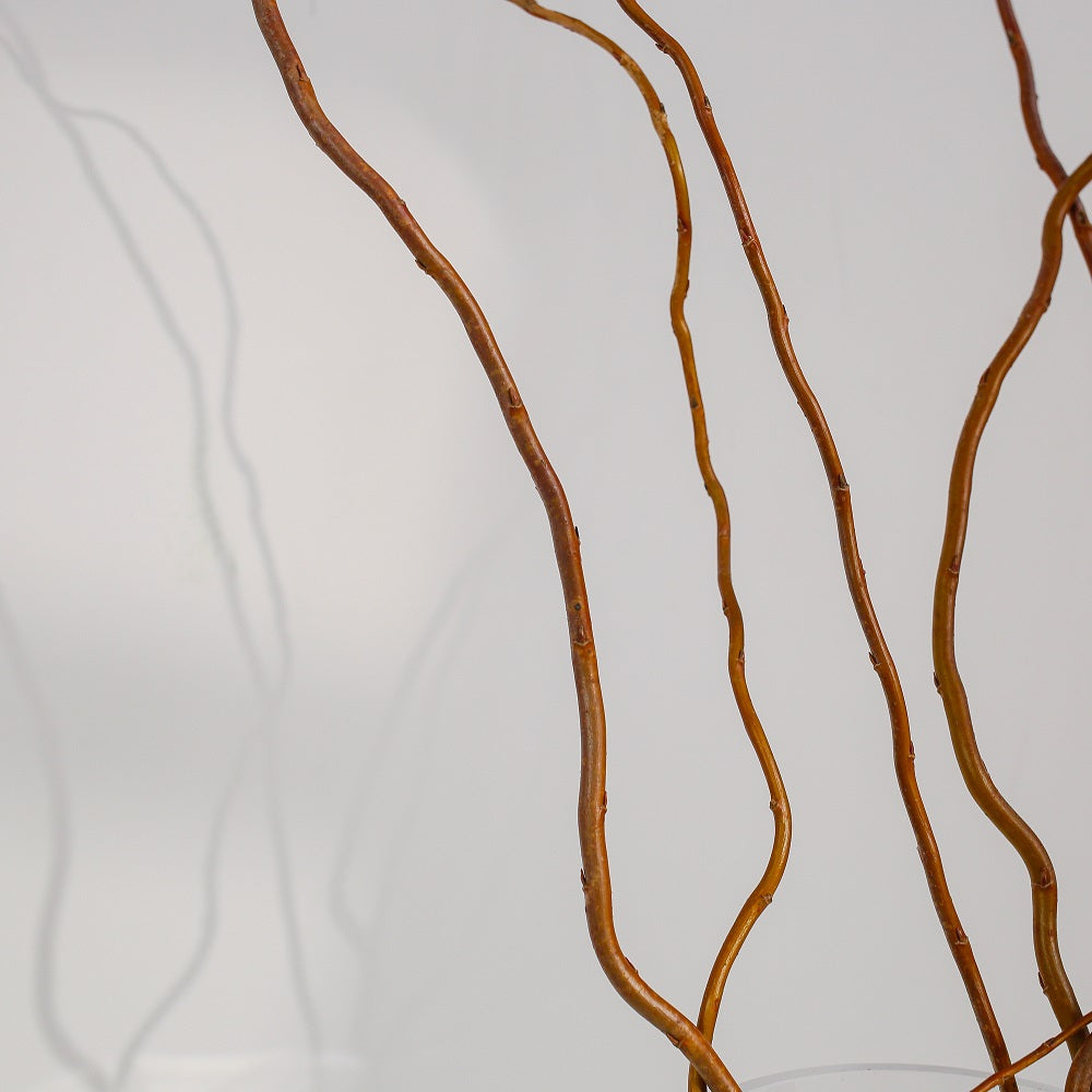 Glod rattan natural bunch