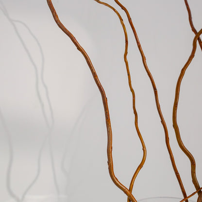 Glod rattan natural bunch