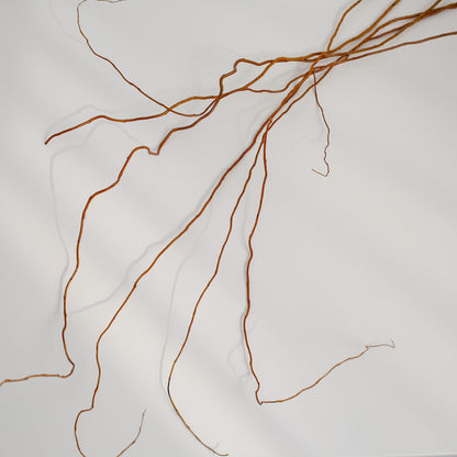 Glod rattan natural bunch