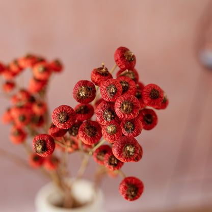 Dried rose hips