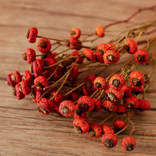 Dried rose hips