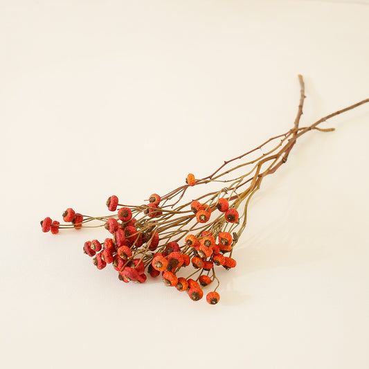 Dried rose hips
